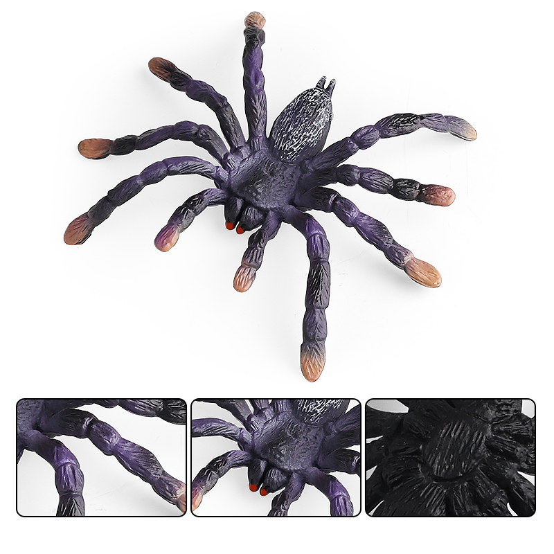 Oenux แมลงสัตว์ Spider Web แมง - Photography Online บทวิจารณ์และราคา
