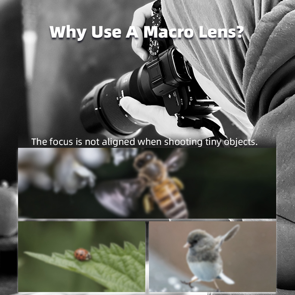 เลนส์มาโครแม่เหล็ก BRDRC สำหรั - Photography Close Up บทวิจารณ์และราคา
